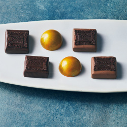 ＜fammy（ファミー） by Miho Sato＞松屋銀座限定ボックス「citron frame」