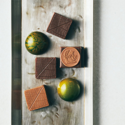 ＜amazoonia（アマゾニア）＞黒文字アソート6個入り