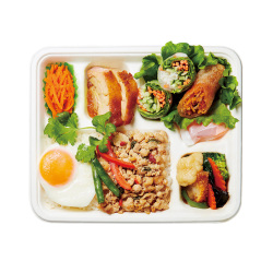 ＜チャンロイ＞10種野菜のガパオ弁当