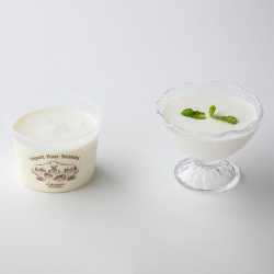 ＜ヨーグルト フォーシーズンズ＞カップヨーグルト プレーン1個