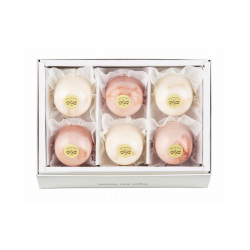 ＜ヨーグルト フォーシーズンズ＞ヨーグルトプリン6個入【店頭受取】