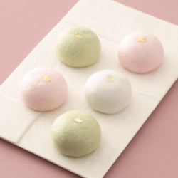 ＜塩瀬総本家＞銀座の星 5個入【店頭受取】
