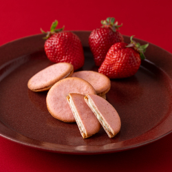 ＜神戸風月堂＞パレオショコラ 苺 8B【店頭受取】