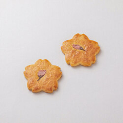 ＜菓心おおすが＞郷愁サブレ 5枚入【店頭受取】