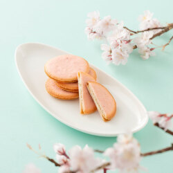 ＜神戸風月堂＞パレ･オ･ショコラさくら風味【店頭受取】